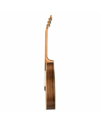 Gibson - Guitare Electro Acoustique Hummingbird Studio Walnut Burst