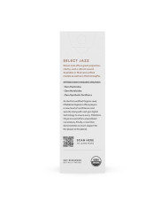 RICO SELECT JAZZ UNFILED 5 ANCHES SAX BARYTON 3