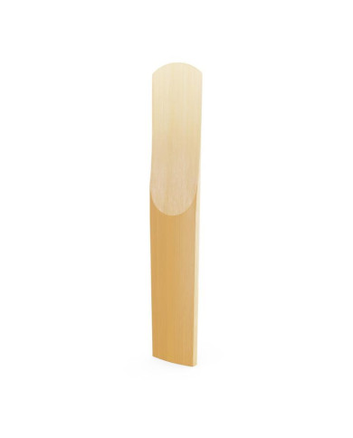 RICO SELECT JAZZ UNFILED 5 ANCHES SAX BARYTON 2