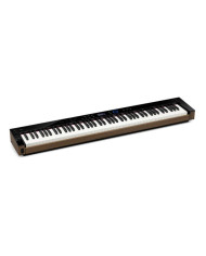 CASIO PX-S6000
