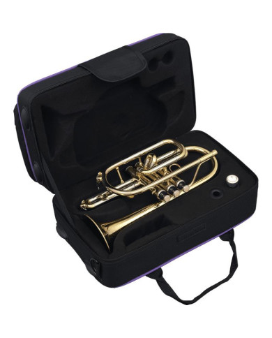 SML Paris - Cornet Sib verni