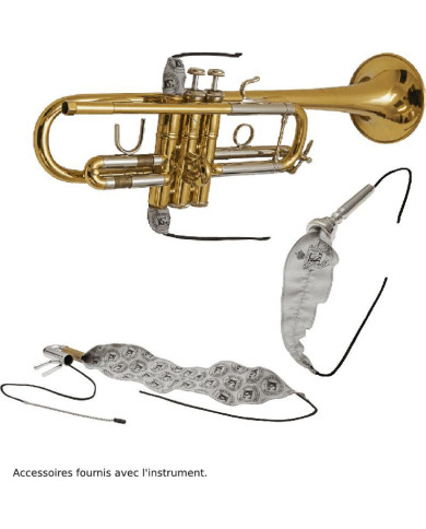 SML Paris - Cornet Sib verni