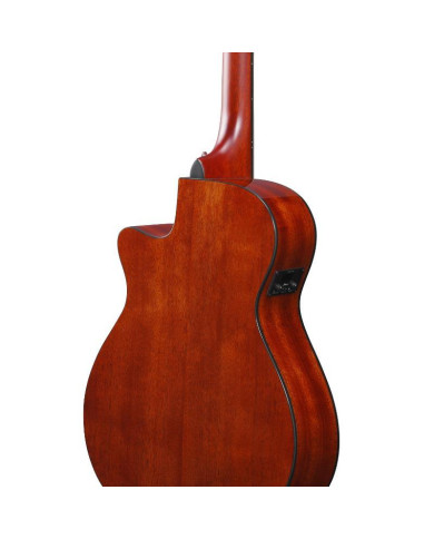 Ibanez- Guitare ElectroAcoustique AEG50 Dark Honey burst brillante