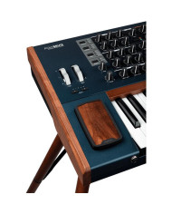 ARTURIA POLYBRUTE