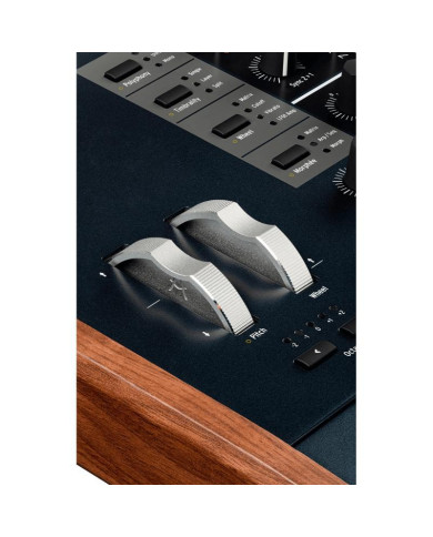 ARTURIA POLYBRUTE