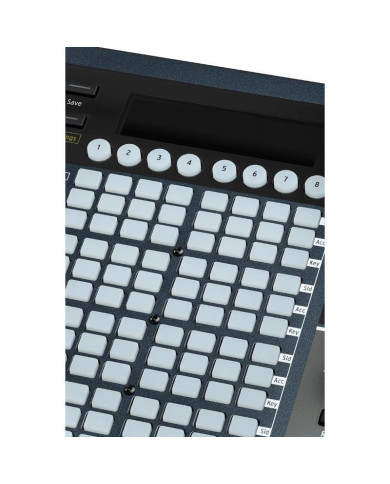 ARTURIA POLYBRUTE