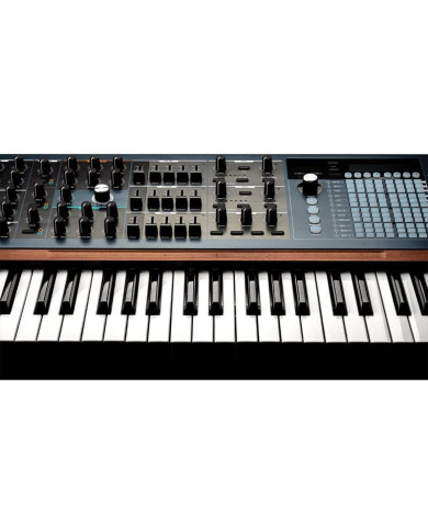ARTURIA POLYBRUTE