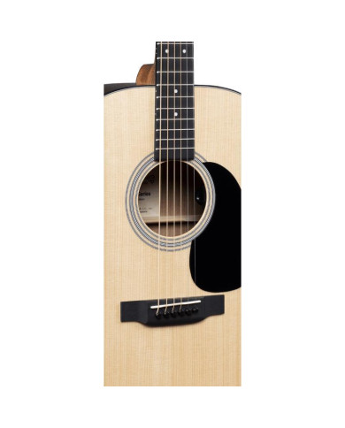 Martin - Guitare Electro Acoustique D12E - GMA D-12E