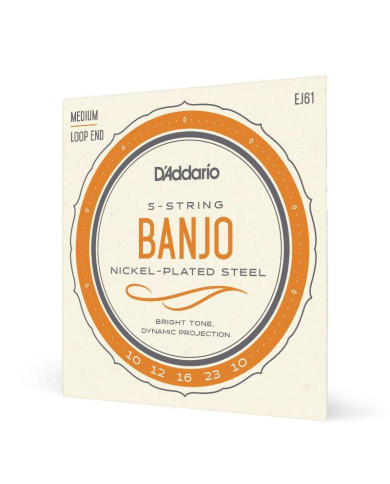 D'ADDARIO EJ61 - CORDES POUR BANJO