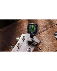 Taylor - Accordeur Beacon