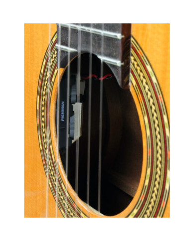 Esteve - Guitare Electro Acoustique 4STCE Fishman Pan coupé