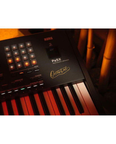 Korg - Clavier Arrangeur PA5X Oriental 61 touches