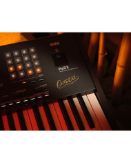 Korg - Clavier Arrangeur PA5X Oriental 61 touches
