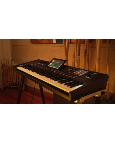 Korg - Clavier Arrangeur PA5X Oriental 76 touches
