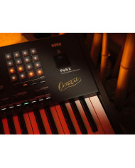 Korg - Clavier Arrangeur PA5X Oriental 76 touches