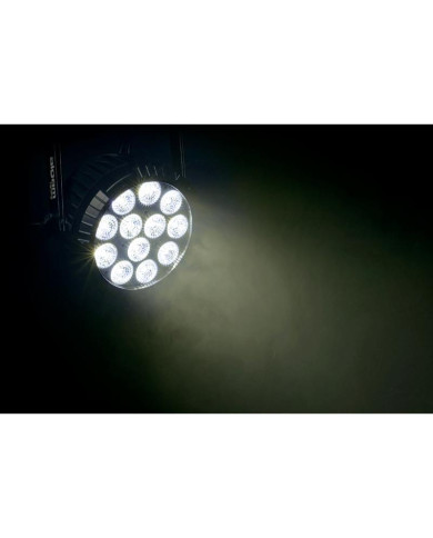 Algam Lightning - Projecteur Architectural PAR IP65 LED 12 X 12W RGBWA-UV