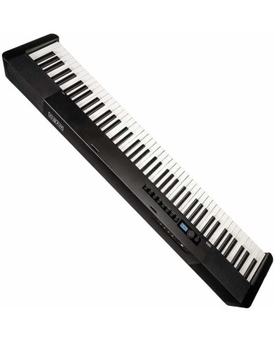 Oqan - Clavier Numérique Portable QP100