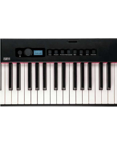 Oqan - Clavier Numérique Portable QP100