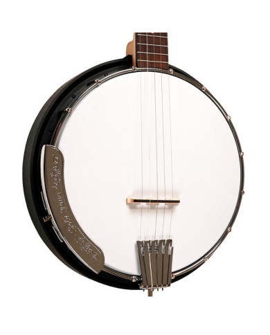 Gold Tone - Banjo Bluegrass à 5 cordes, avec housse