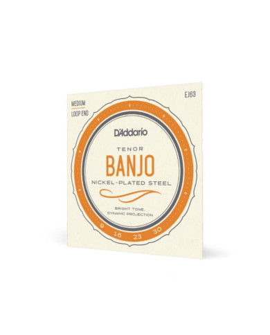 D'Addario - Cordes EJ63 Tenor Banjo, Nickel, 9-30