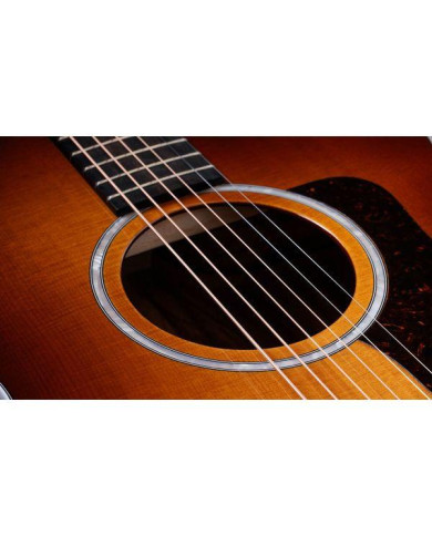 Taylor - Guitare Electro-acoustique 214ce Plus Special Edition