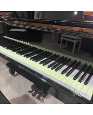 Yamaha - Piano 1/4 queue C1 PE - Occasion