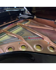 Yamaha - Piano 1/4 queue C1 PE - Occasion