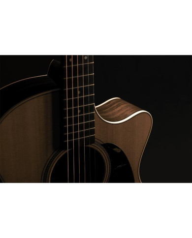 Martin - Guitare Electro Acoustique Grand Performance GPC-16E Palissandre