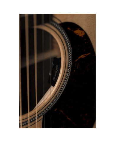 Martin - Guitare Electro Acoustique Grand Performance GPC-16E Palissandre
