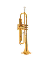 Yamaha - Trompette Sib YTR-8310 Z 03