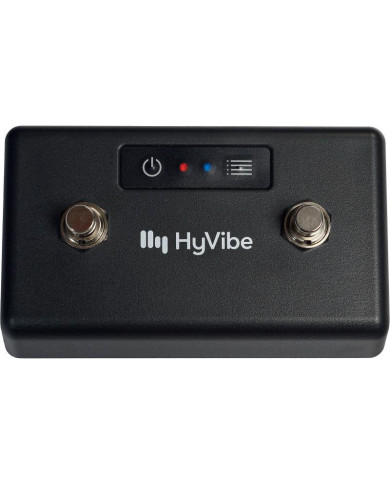 Lâg - Contrôleurs BlueTooth pour HyVibe 2 switchs