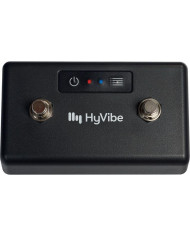 Lâg - Contrôleurs BlueTooth pour HyVibe 2 switchs