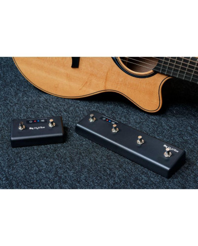 Lâg - Contrôleurs BlueTooth pour HyVibe 2 switchs