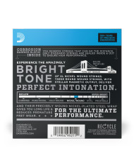 D'Addario EXL110-10P XL Nickel Wound Jeu de cordes pour guitare électrique Tirant Regular Light (.010-.046) 10 Jeux