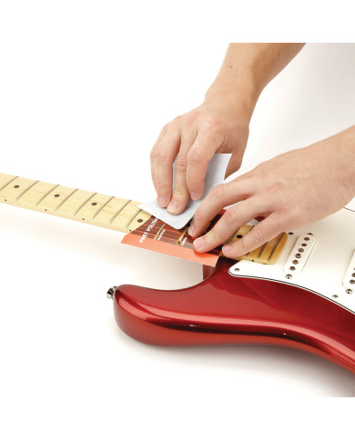 D'Addario Système de polissage de frêtes D'Addario