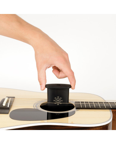 Humidificateur pour guitare GHP, par D'Addario