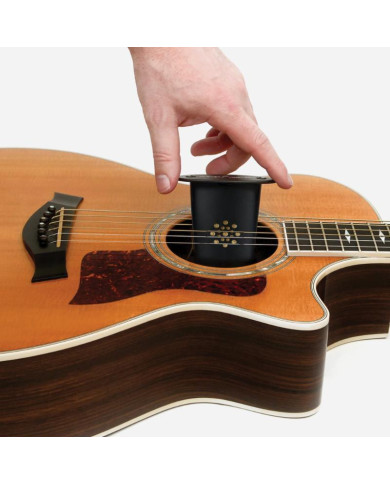 PLANET WAVES GH HUMIDIFICATEUR ROSACE GUITARE