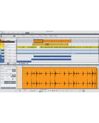 Reason Studios - Reason 13