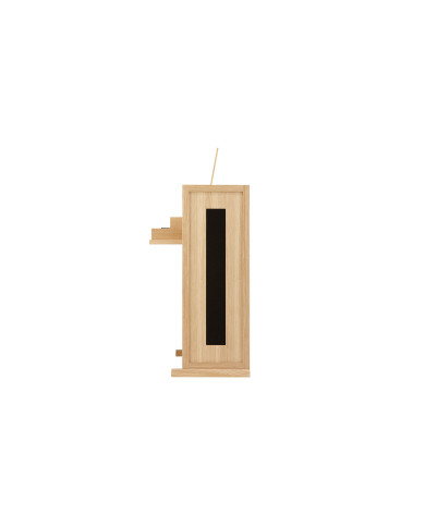 Orgue JOHANNUS Classic 250