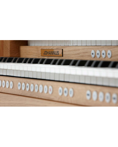 ORGUE JOHANNUS VIVALDI 150