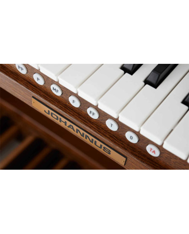 ORGUE JOHANNUS VIVALDI 250