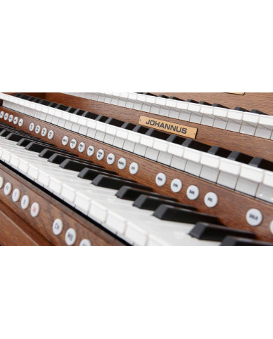 ORGUE JOHANNUS VIVALDI 350