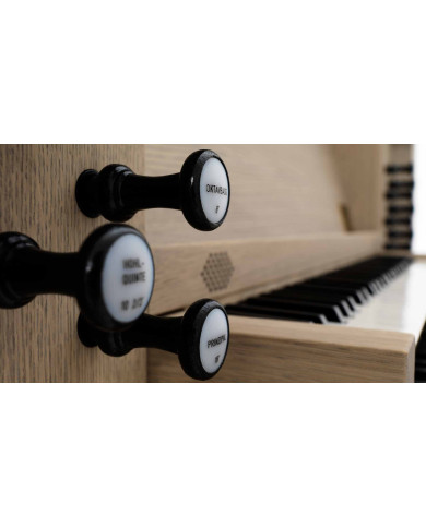 ORGUE JOHANNUS POSITIF 250