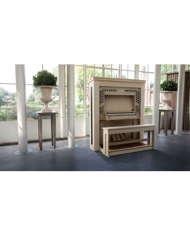 ORGUE JOHANNUS POSITIF 250