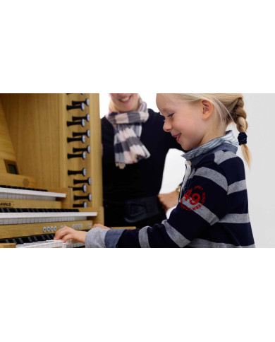 ORGUE JOHANNUS POSITIF 350