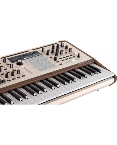 ARTURIA POLYBRUTE 12