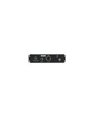 BLACK LION AUDIO B173 MK2