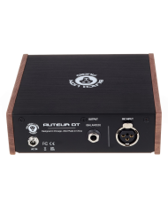 Black Lion Audio Auteur DT