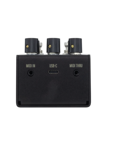 Walrus Audio MAKO R1 MKII