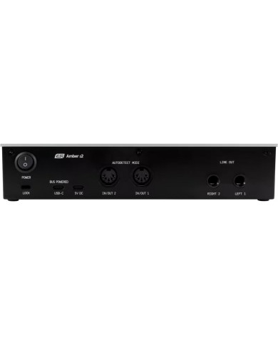 ESI Amber i2
